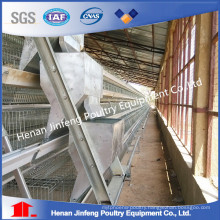 China Manufacturer Low Cost Full Automatic Chicken Raising Equipment